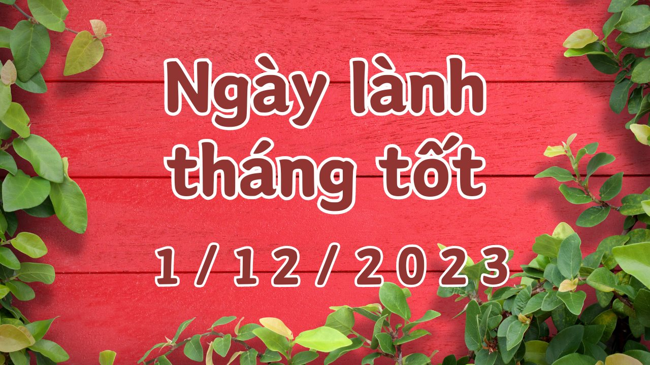 Xem ngày lành tháng tốt 1/12/2023: Đây là ngày xấu, chỉ nên xem giờ xuất hành, an táng.