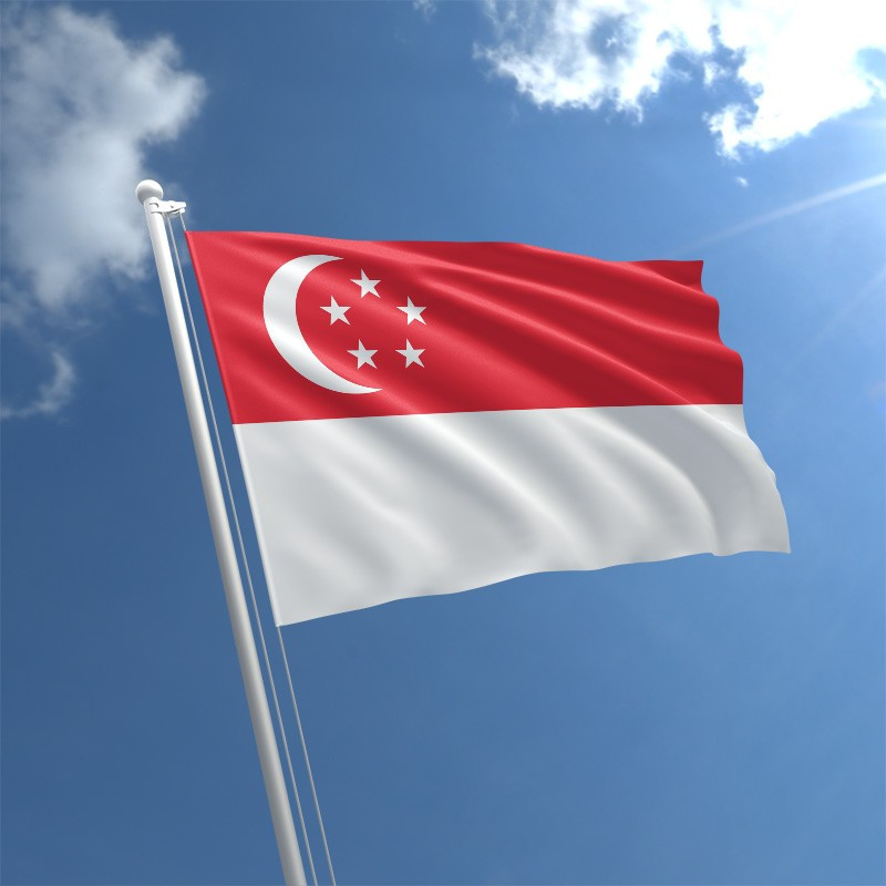 Lá cờ Singapore | Ý nghĩa hình ảnh của cờ Singapore