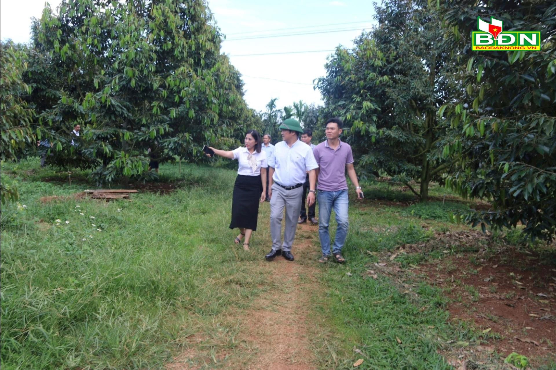 Phó Chủ tịch UBND tỉnh Đắk Nông Lê Trọng Yên kiểm tra vùng sản xuất sản phẩm OCOP tại TP. Gia Nghĩa