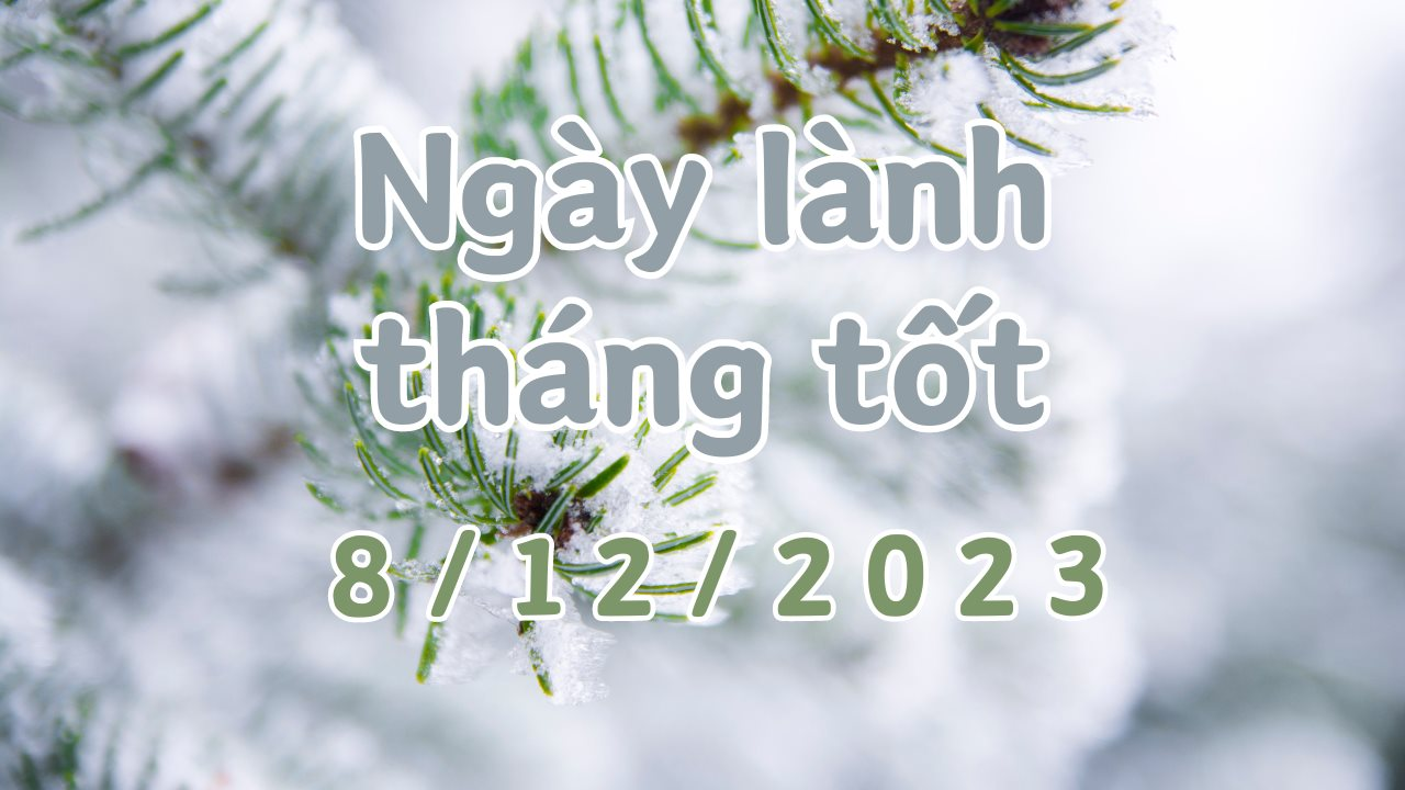 Xem ngày lành tháng tốt 8/12/2023: Đây là ngày xấu, chỉ làm các công việc hàng ngày, tránh làm các việc quan trọng.