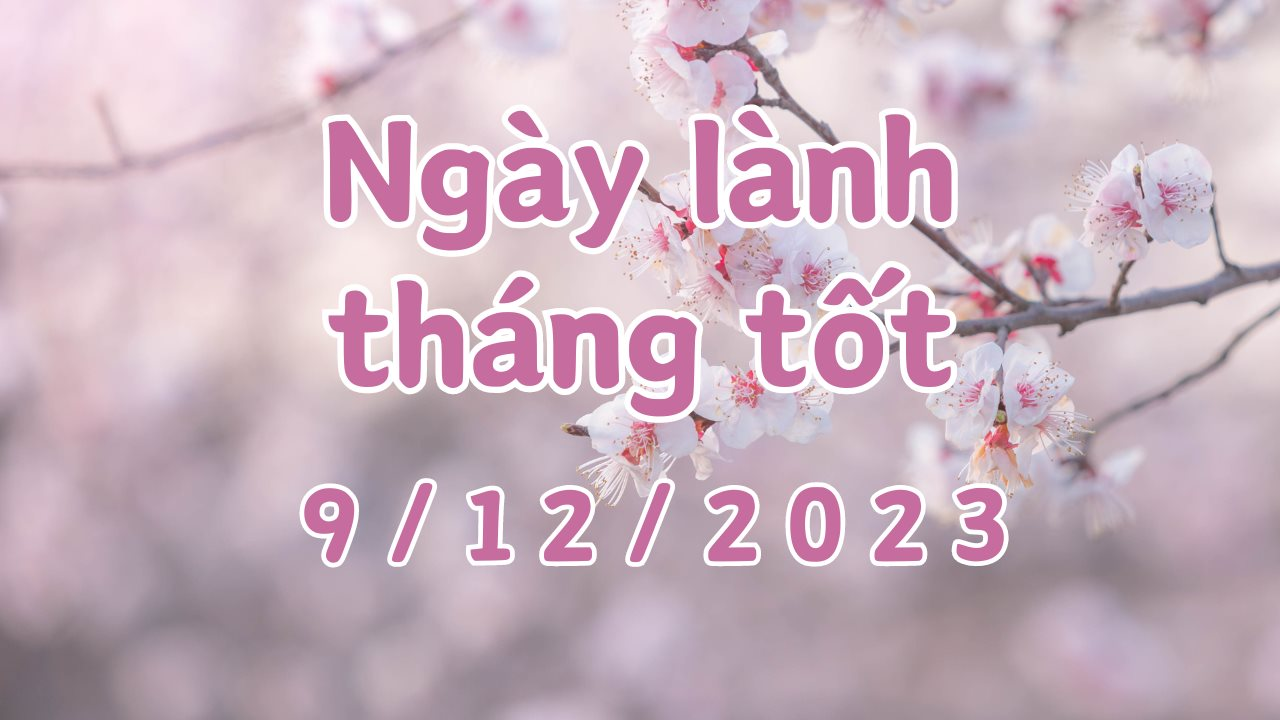 Xem ngày lành tháng tốt 9/12/2023: Đây là ngày xấu, không nên làm các việc quan trọng như cưới hỏi, khai trương, động thổ làm nhà