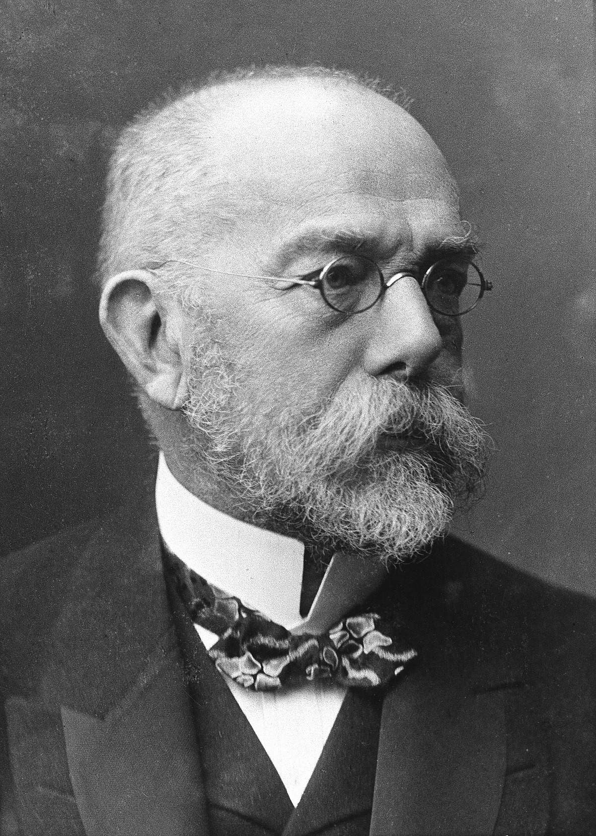 Robert Koch – Wikipedia tiếng Việt