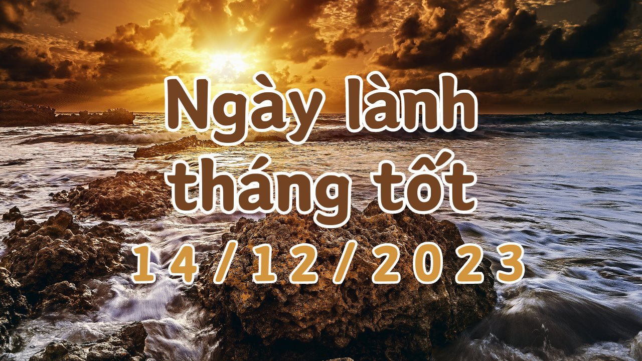 Xem ngày lành tháng tốt 14/12/2023: Đây là ngày tốt có thể làm những việc quan trọng như kiện tụng, khai trương, giao dịch, xuất hành 