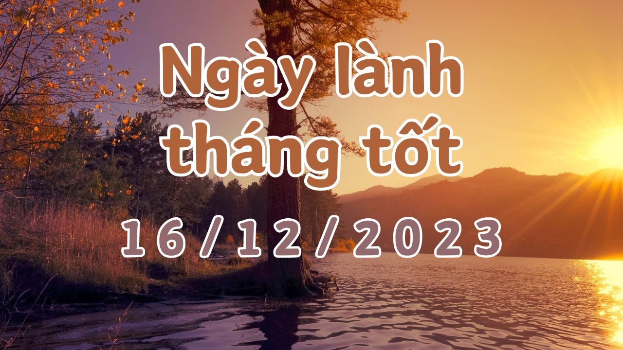 Mua cầu câu máy hàng hiệu chính hãng từ Mỹ giá tốt. Tháng 12/2023