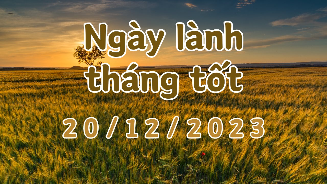 Xem ngày lành tháng tốt 20/12/2023: Đây là ngày tốt, nên làm các việc quan trọng như cưới hỏi, xây dựng, khai trương, động thổ