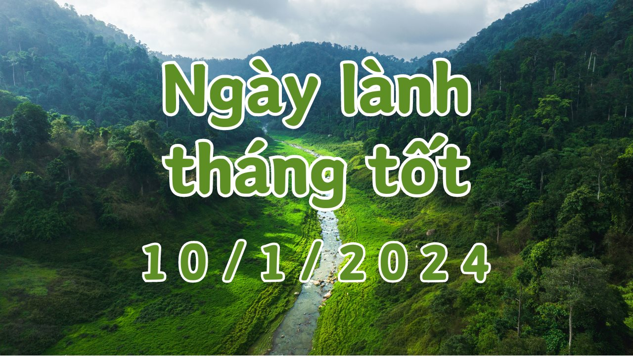 Xem ngày lành tháng tốt 10/1/2024: Đây là ngày xấu, không nên làm những việc quan trọng như cưới gả, khởi công, khai trương