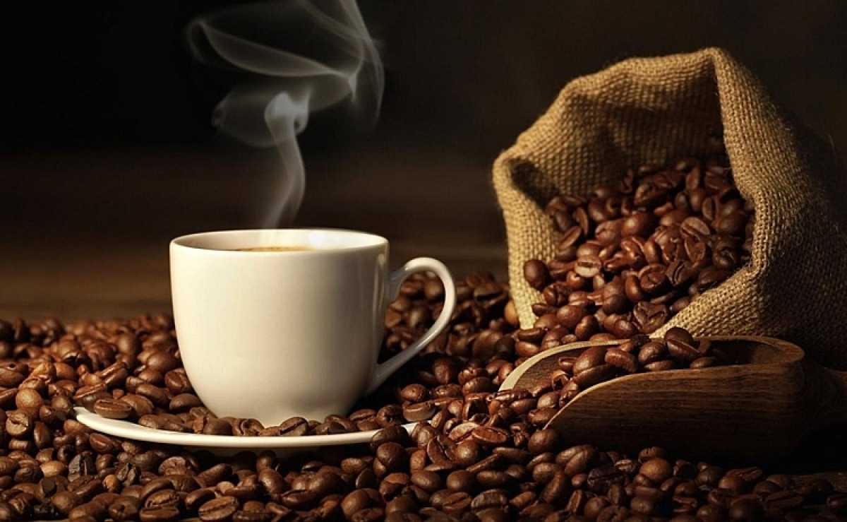 Giá cà phê hôm nay 26/1/2024: Tăng mạnh lên đến 75.000 đồng/kg