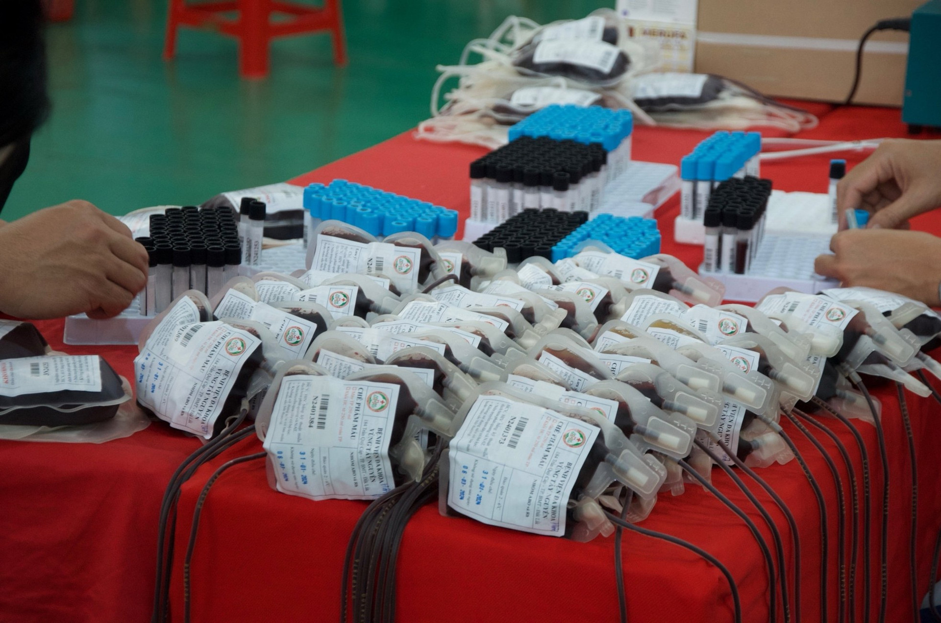 Chủ Nhật Đỏ tại Đắk Lắk: Góp phần giữ nhịp đập trái tim cho những người cần máu ảnh 13