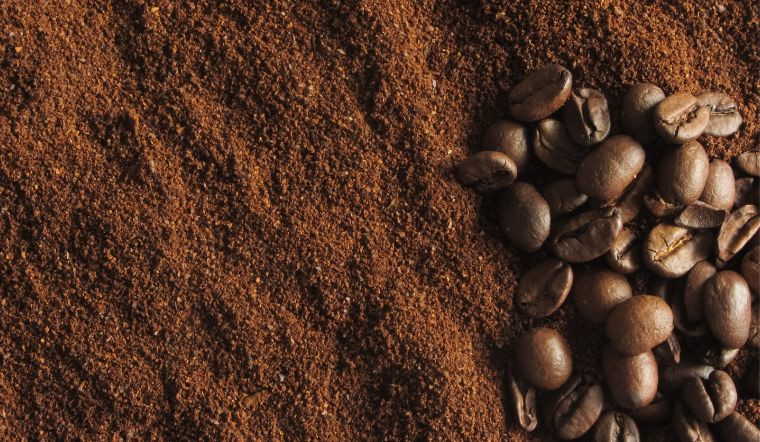 Giá cà phê hôm nay 3/2/2024: Giảm nhẹ 300 đồng/kg, giá trung bình 78.700 đồng/kg