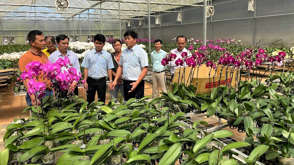 Trong năm 2023, nhiều doanh nghiệp, nông hộ ở huyện Đơn Dương tiếp tục đầu tư đồng bộ hệ thống tự động tưới, điều khiển nhiệt độ, ánh sáng, độ ẩm chăm sóc cây trồng