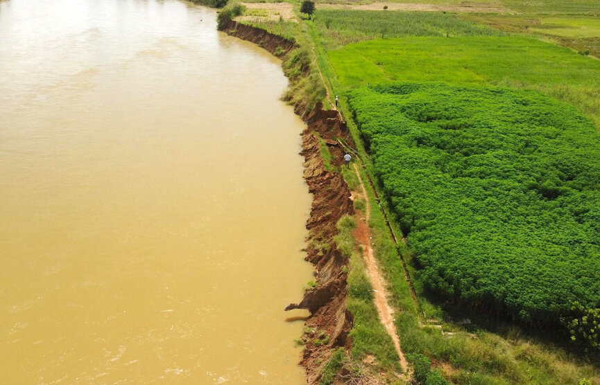 Sạt lở bờ sông cuốn trôi hơn 100 trăm hecta đất của người dân Đắk Nông