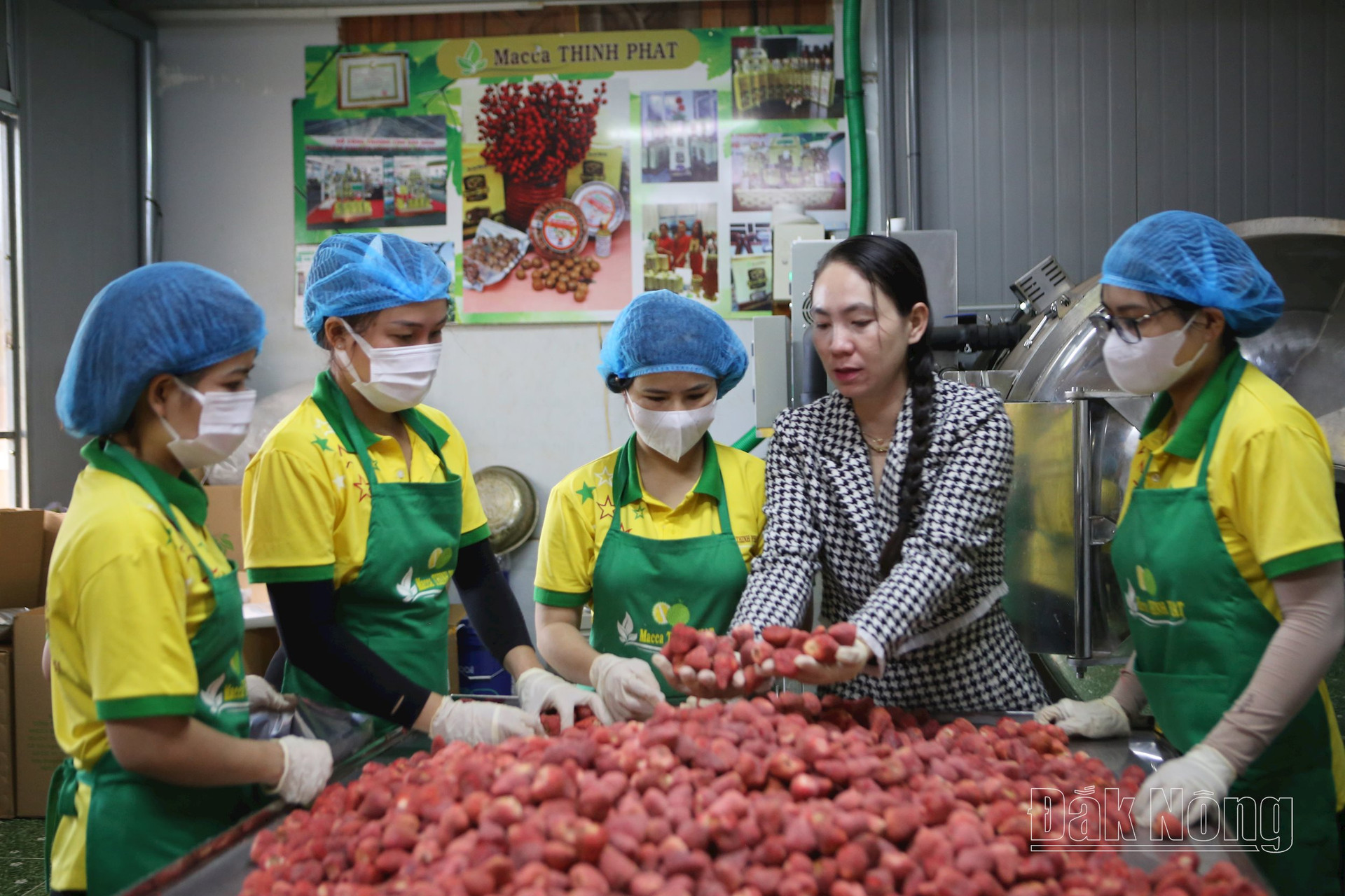 Trái cây sấy thăng hoa của Công ty TNHH Thương mại, xuất nhập khẩu mắc ca sachi Thịnh Phát, TP. Gia Nghĩa