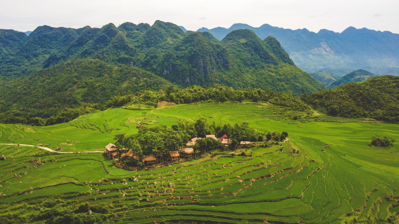 Ngày Quốc tế về Rừng: Trải nghiệm 5 ngôi nhà cây “độc nhất vô nhị” ở Việt Nam
