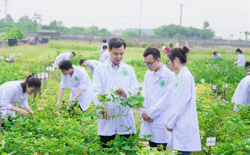 Học viện Nông nghiệp Việt Nam tuyển 5.860 chỉ tiêu năm 2023