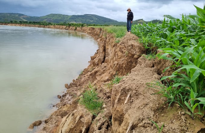 Đất sản xuất của người dân tại huyện Krông Nô liên tục bị nước cuốn trôi. Ảnh: Quang Yên.