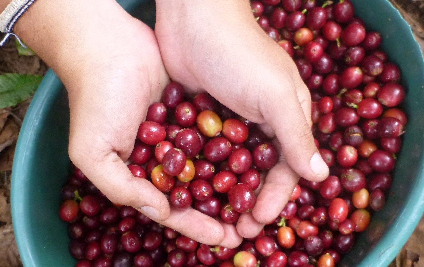 Tin nóng chiều 28/3: Giá cà phê Việt Nam vượt mốc 100.000 đồng/kg, cao nhất mọi thời đại.