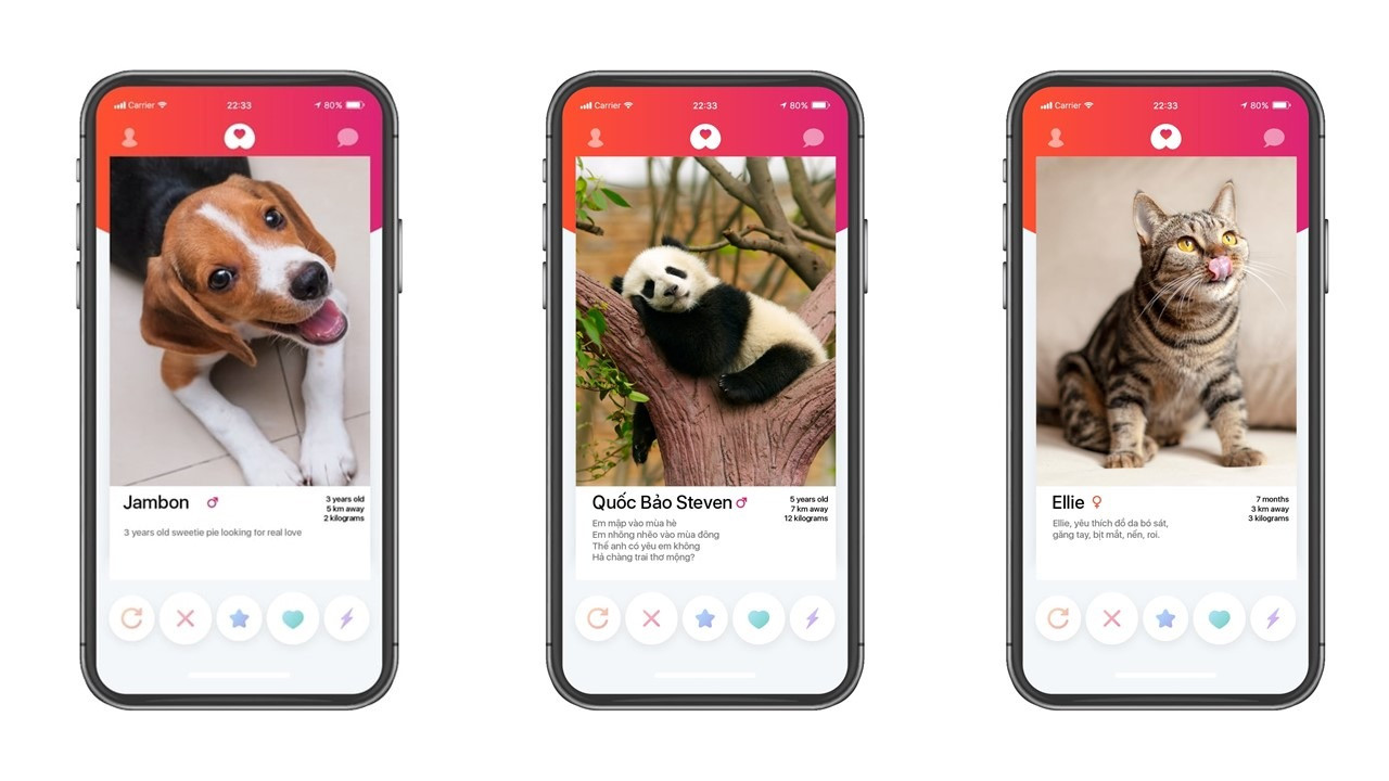 Bất ngờ với Get Bone, app hẹn hò cho thú cưng Made in Vietnam, lấy cảm hứng từ Tinder