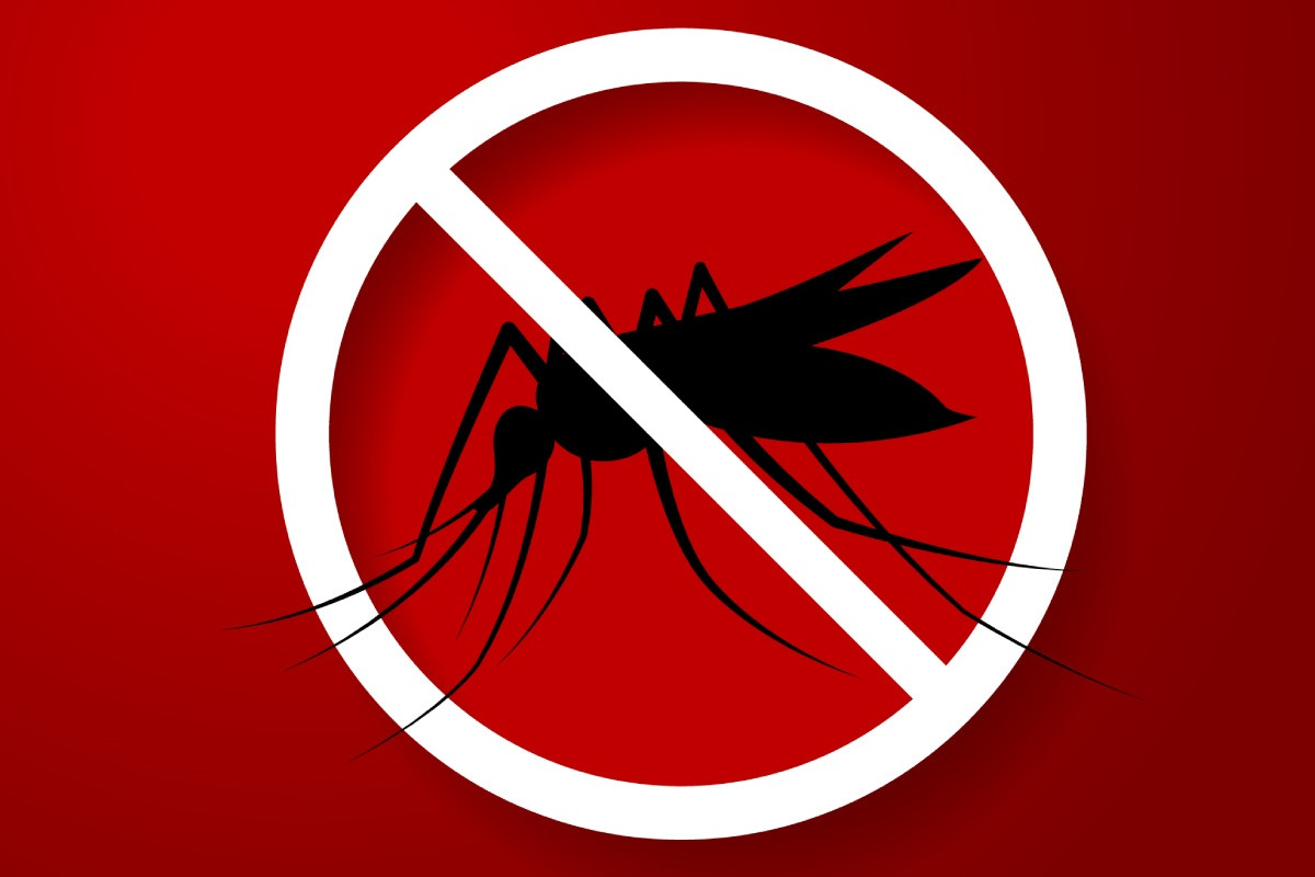 5 cách phòng tránh bệnh sốt rét, bạn đã biết chưa? | Prudential Việt Nam