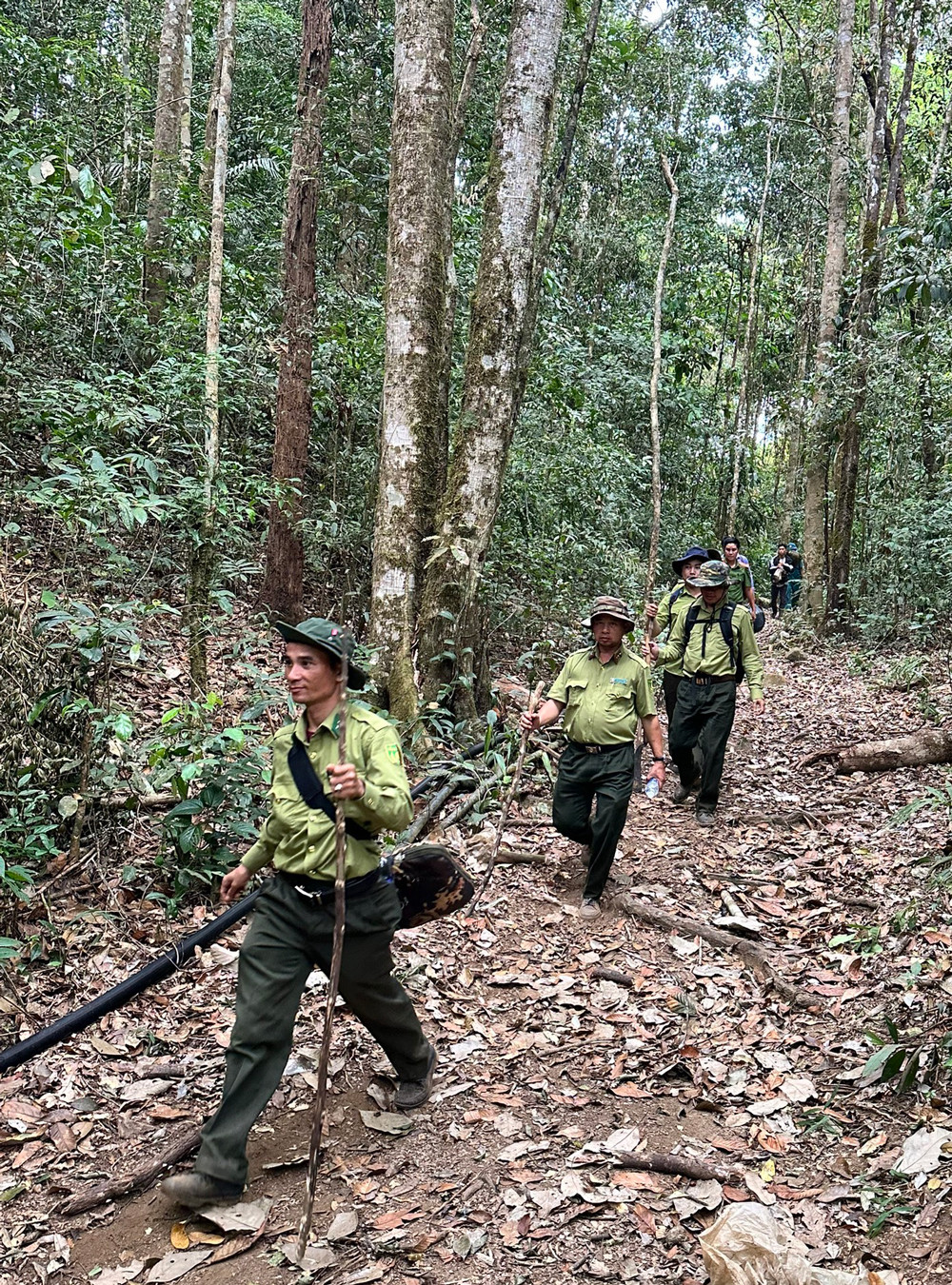 Các lực lượng quản lý, bảo vệ rừng của huyện Đam Rông tuần tra rừng ở khu vực giáp ranh