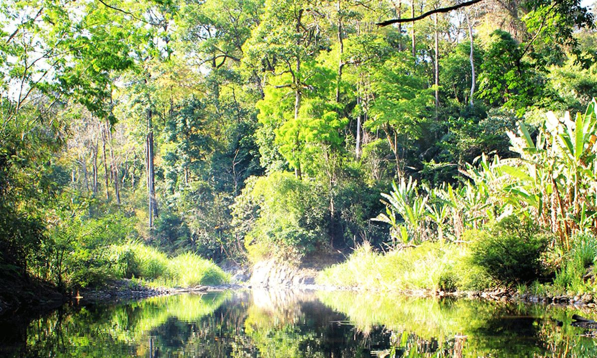 Vườn quốc gia Bù Gia Mập, lá phổi xanh của vùng Đông Nam Bộ