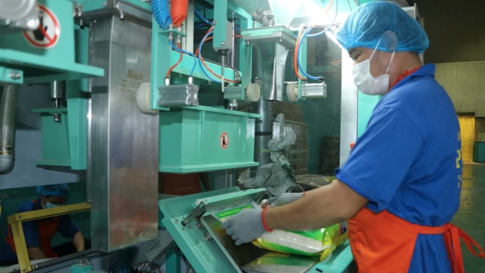 Công nhân đóng bao bì sản phẩm gạo từ hệ thống hút khí chân không
