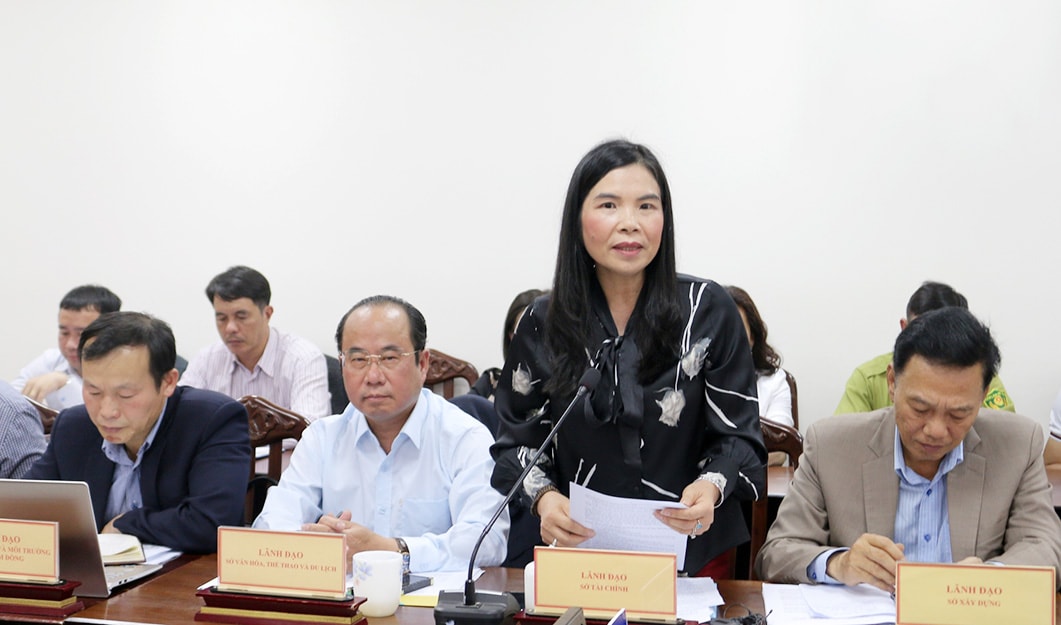 Đại diện lãnh đạo Sở Tài Chính thông tin về giá trị đầu tư của nhà đầu tư vào Dinh 1