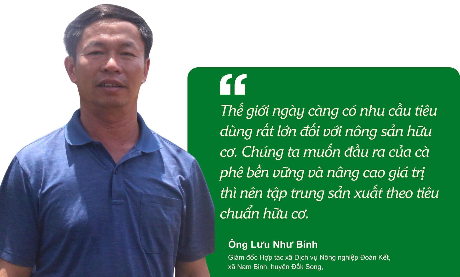 ong-binh-mau.jpg