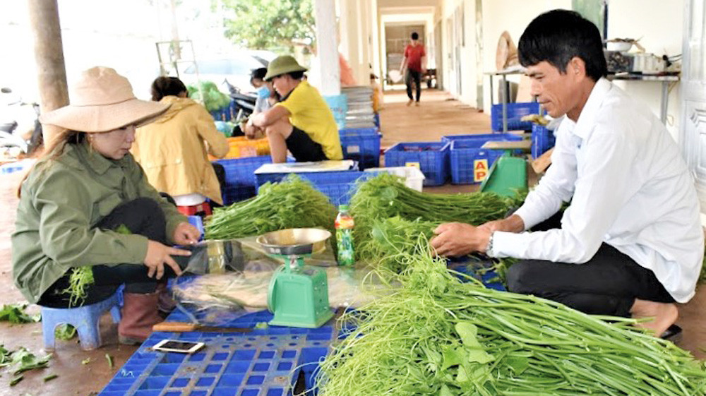 Hợp tác xã Dịch vụ Nông nghiệp tổng hợp An Phú, huyện Đức Trọng đã tái sử dụng phụ phẩm hấp nhiệt độ cao khử trùng, tạo ra giá thể sạch nguồn bệnh cho cây trồng