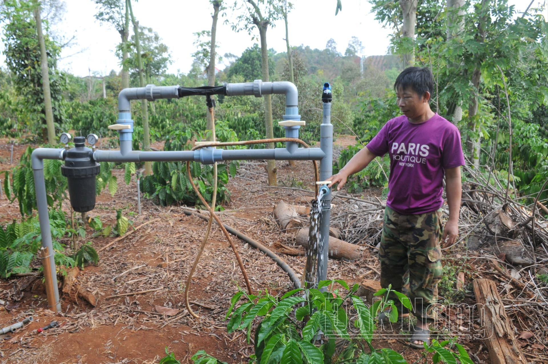 Ông Diệp Kỳ Khìn ở thôn Đắk Quang, xã Đắk Lao (Đắk Mil) thuận lợi khi được Dự án SACCR tỉnh Đắk Nông hỗ trợ hệ thông tưới nước tiết kiệm kết hợp bón phân 