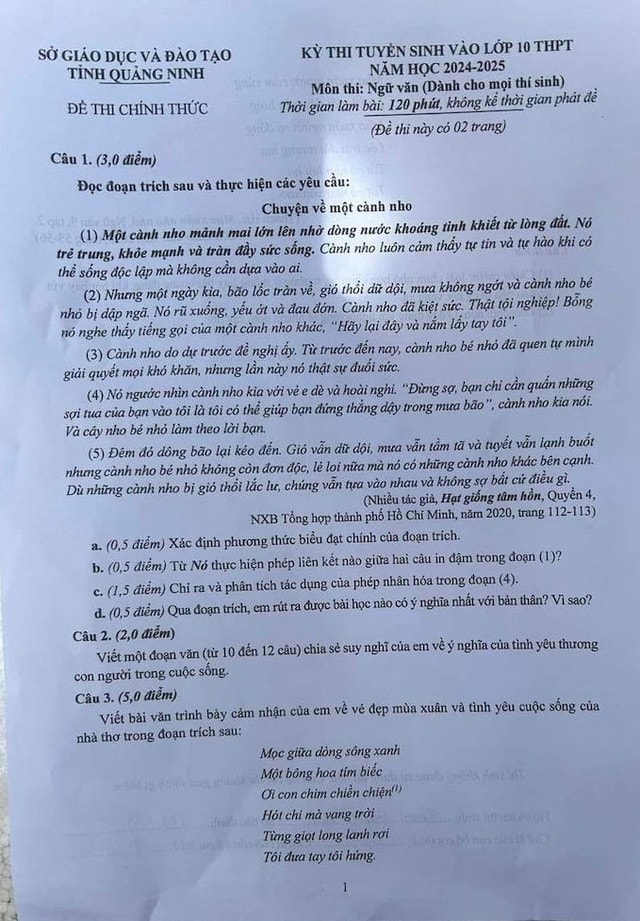 Đề thi tuyển sinh lớp 10 môn Ngữ văn tại Quảng Ninh, Ninh Bình, Vĩnh Phúc năm học 2024-2025- Ảnh 2.