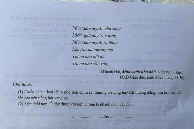 Đề thi tuyển sinh lớp 10 môn Ngữ văn tại Quảng Ninh, Ninh Bình, Vĩnh Phúc năm học 2024-2025- Ảnh 3.