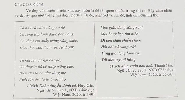Đề thi tuyển sinh lớp 10 môn Văn Đồng Nai 2024-2025