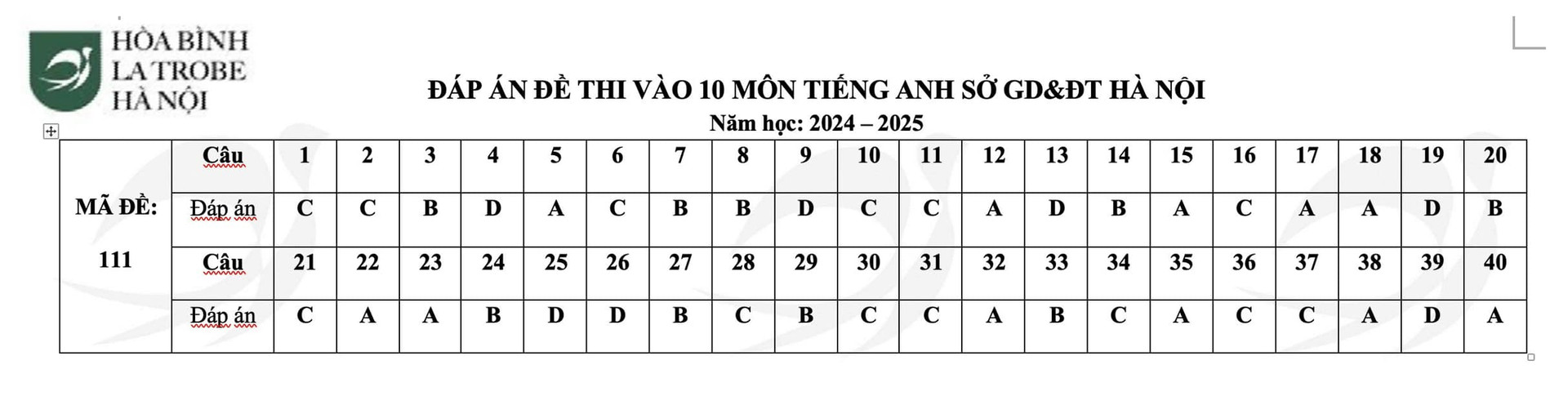 Gợi ý đáp án môn Tiếng Anh vào lớp 10 Hà Nội 2024 full mã đề- Ảnh 22.