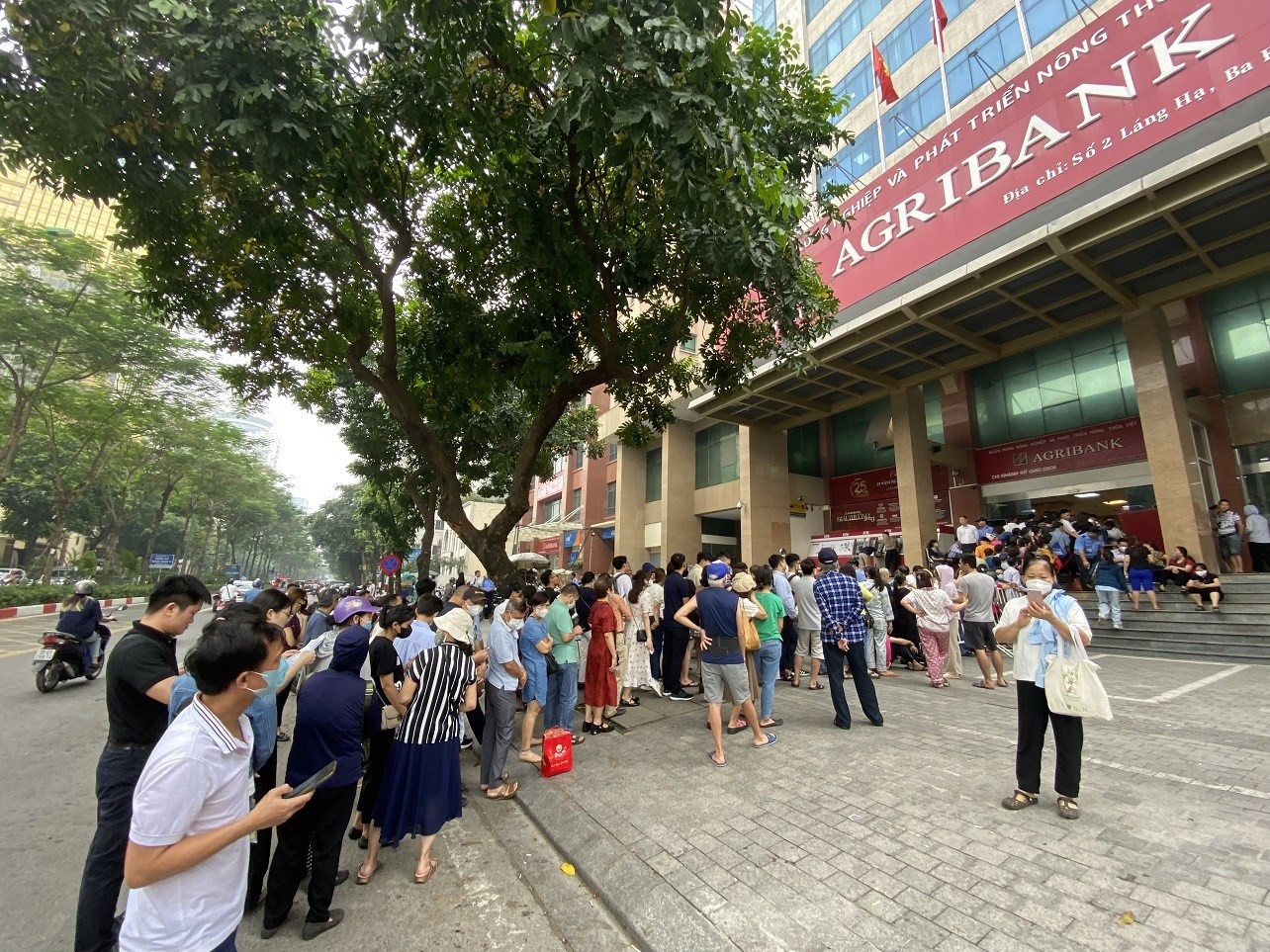 Từ 11/6, Agribank mở thêm hai điểm bán vàng tại Hà Nội