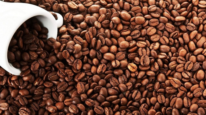Giá cà phê Robusta lập kỷ lục mới - Báo Đại biểu Nhân dân