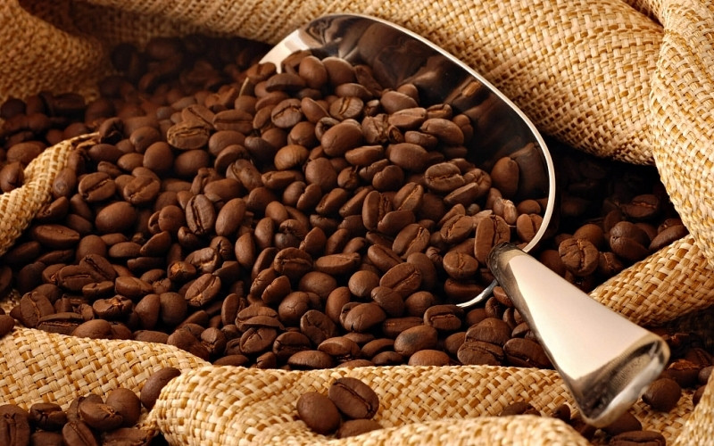Giá cà phê hôm nay 4/12: Tăng mạnh thêm 500 - 600 đ/kg | Báo Dân tộc và Phát triển