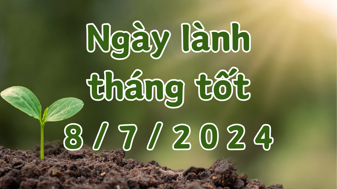 Ngày 8/7/2024 là ngày xấu không nên làm các việc như hôn thú, cưới hỏi, xây dựng, sửa chữa nhà, tranh chấp, mai táng, sửa mộ, cải mộ. 