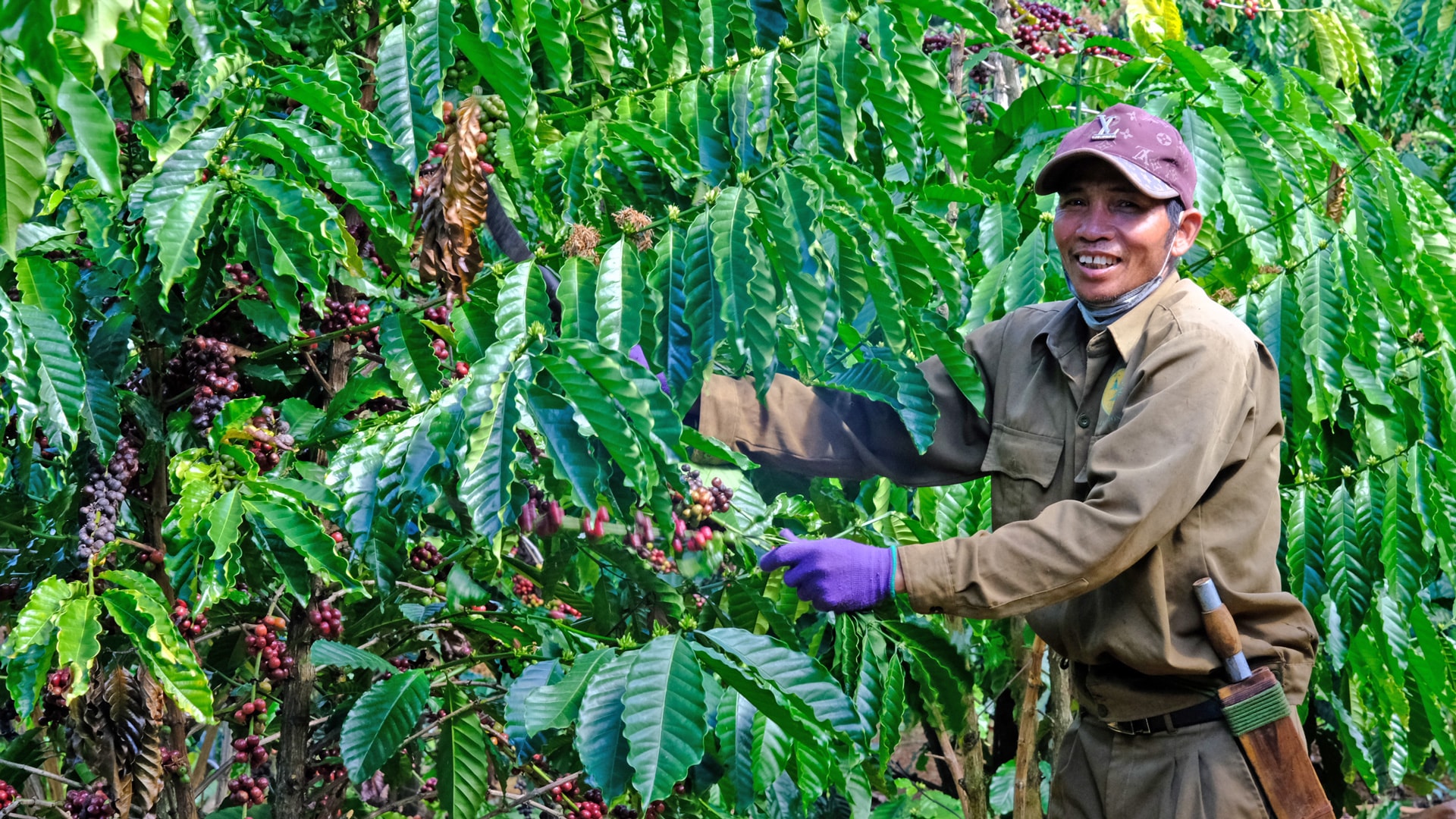 Nhờ chăm chỉ làm ăn, đời sống của người DTTS ở Tôn KLong, xã Đạ Pal ngày càng khấm khá rõ rệt