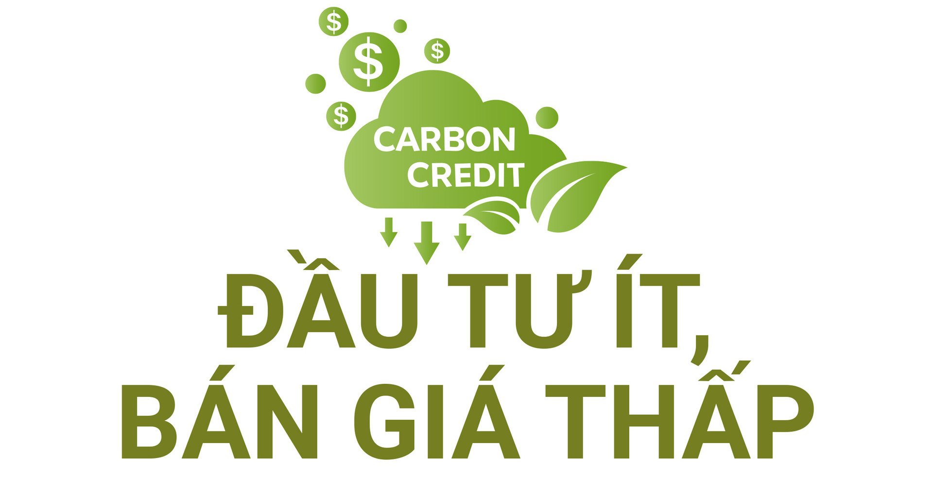 5 đô la một tín chỉ carbon là mắc hay rẻ? - Tuổi Trẻ Online