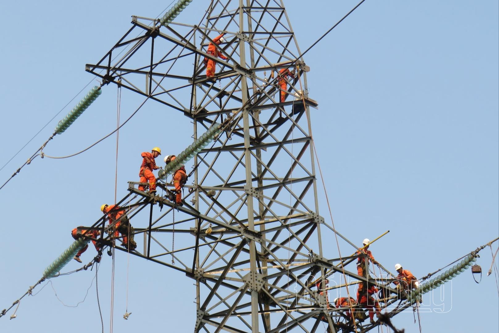 dien-tap-pctt-tkcn-nam-2024-tren-duong-day-220kv-buon-tua-srah-dak-nong-1-(1).jpg