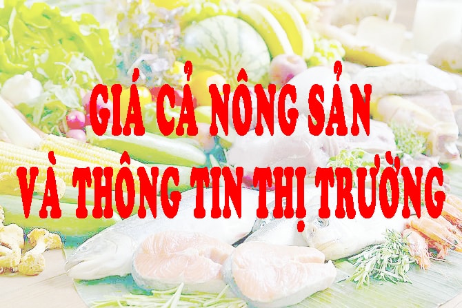 Thông tin giá cả thị trường nông sản (Cập nhật ngày 01/5/2024)