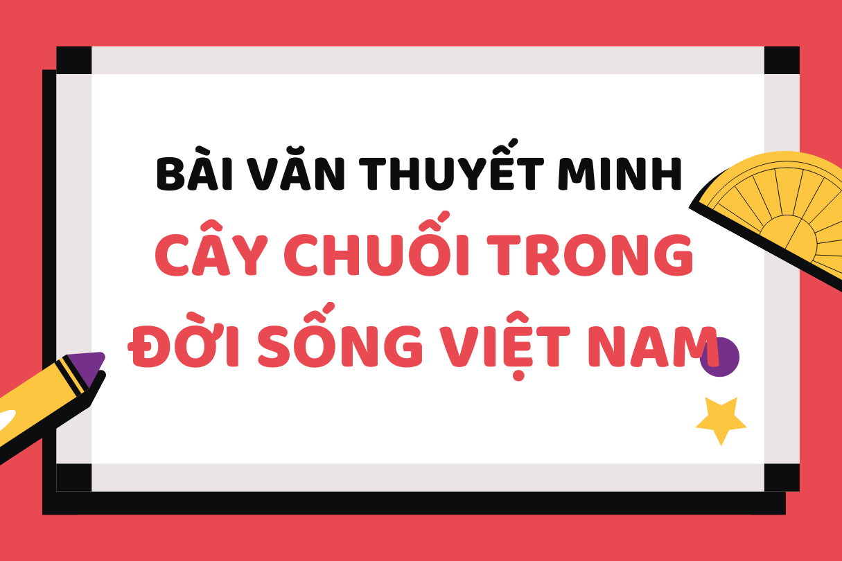 Bài văn thuyết minh