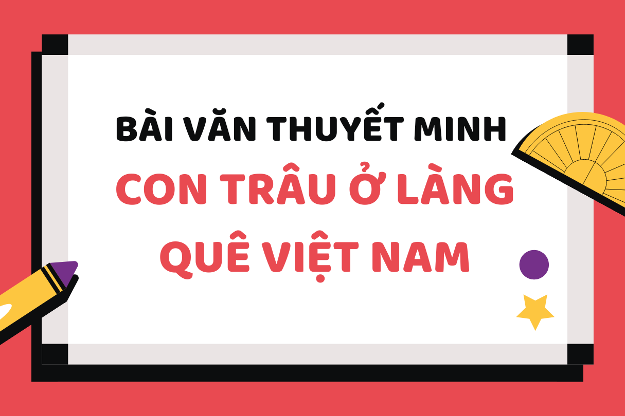 Bài văn thuyết minh