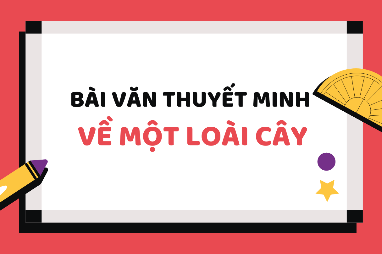 10 Bài văn Thuyết minh về một loài cây mà em yêu thích