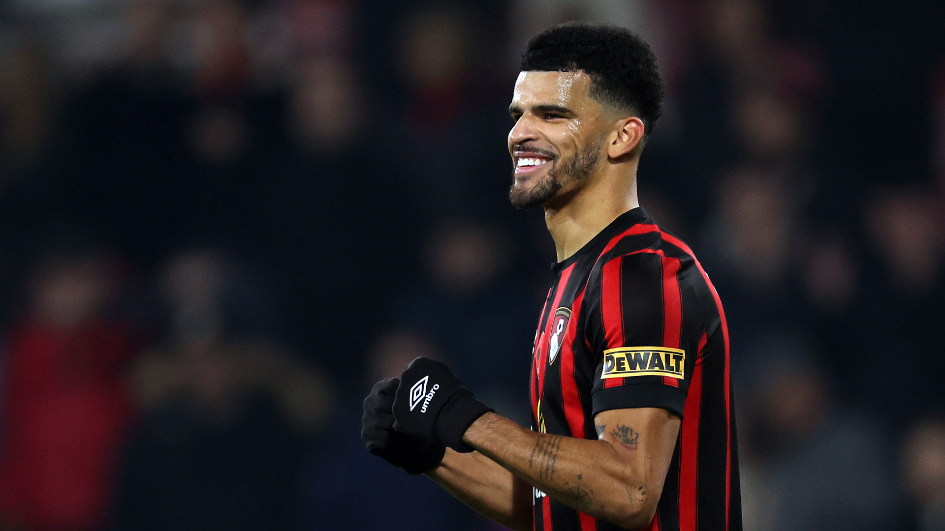 Iraola insists Tottenham target Solanke out injured for Bournemouth despite exit speculation | beIN SPORTS