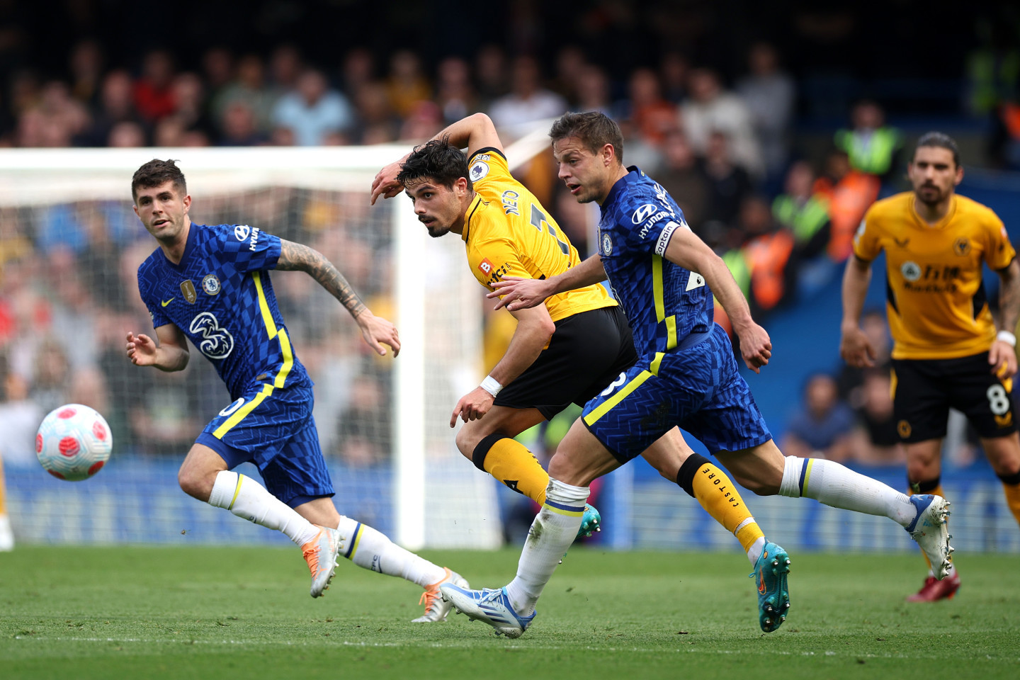 Chelsea vs Wolves: Last season's match | News | Official Site | Chelsea Football Club