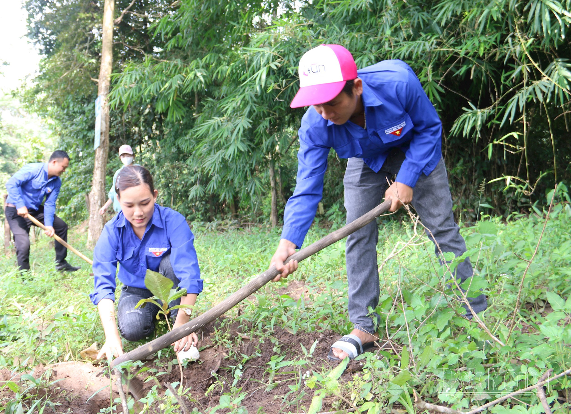 Thanh niên huyện Krông Nô tích cực trồng cây xanh, góp phần bảo vệ môi trường sống