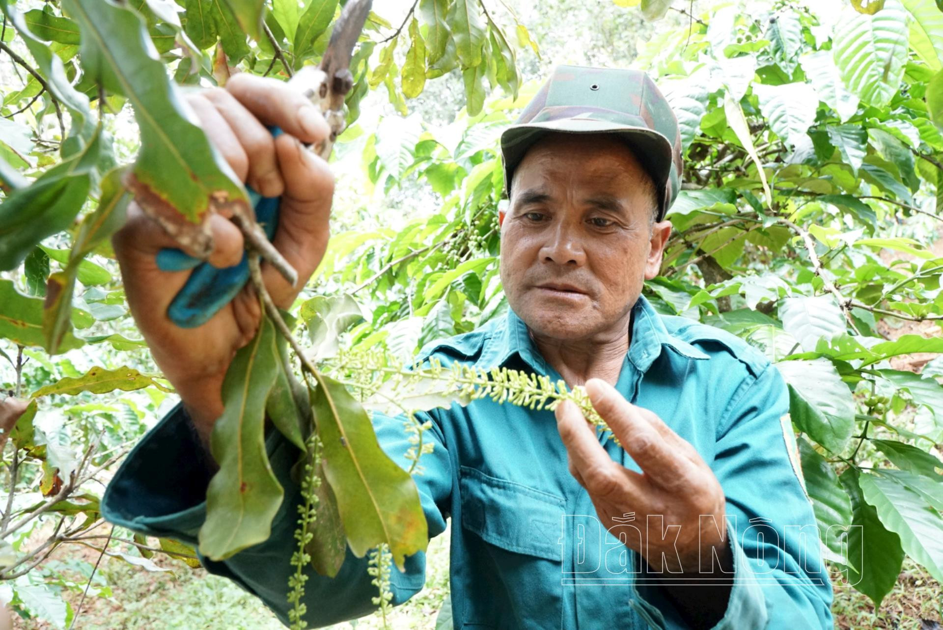 Già Điểu Drây, ở bon Bu P