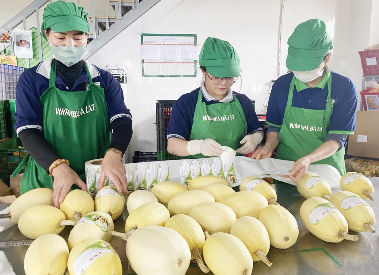 Trên 60% giá trị sản phẩm trồng trọt được sản xuất qua các hình thức hợp tác vào năm 2030