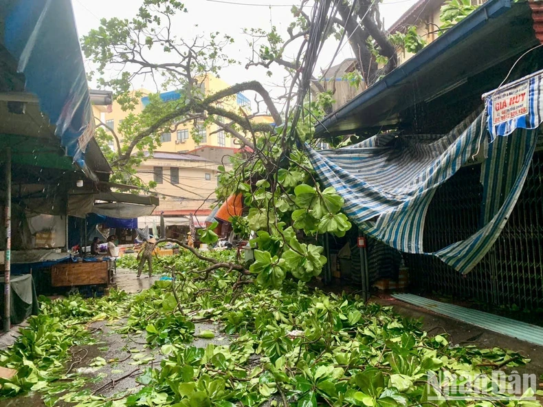 [Live] Bão số 3 đổ bộ vào các tỉnh phía bắc gây gió mạnh, mưa lớn, 4 người đã tử vong ảnh 11